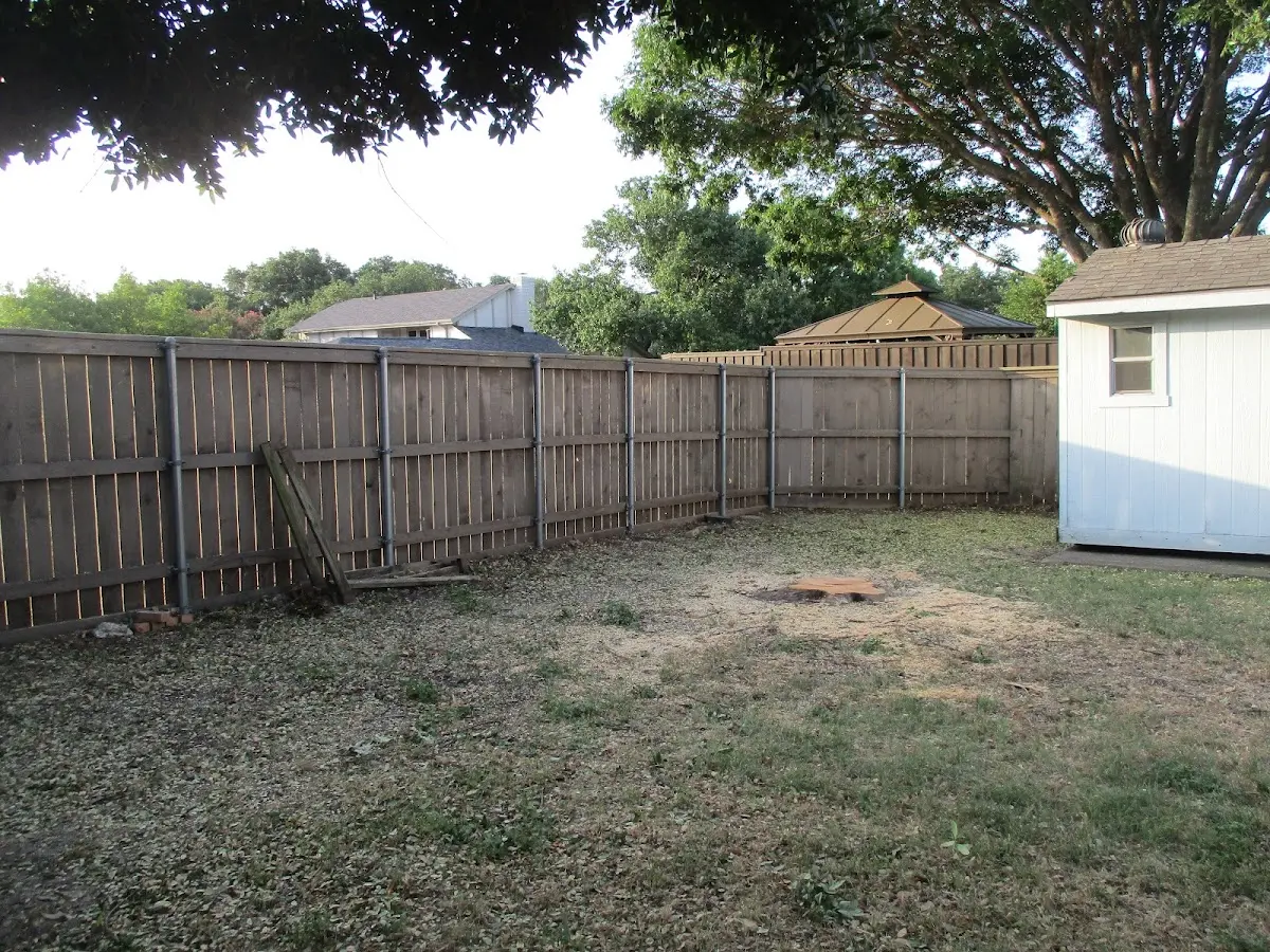 Cleared yard after professional tree removal in East Lynn